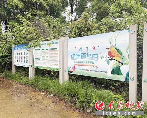 明朗山岛上的爱护鸟类告示牌。周琳 摄