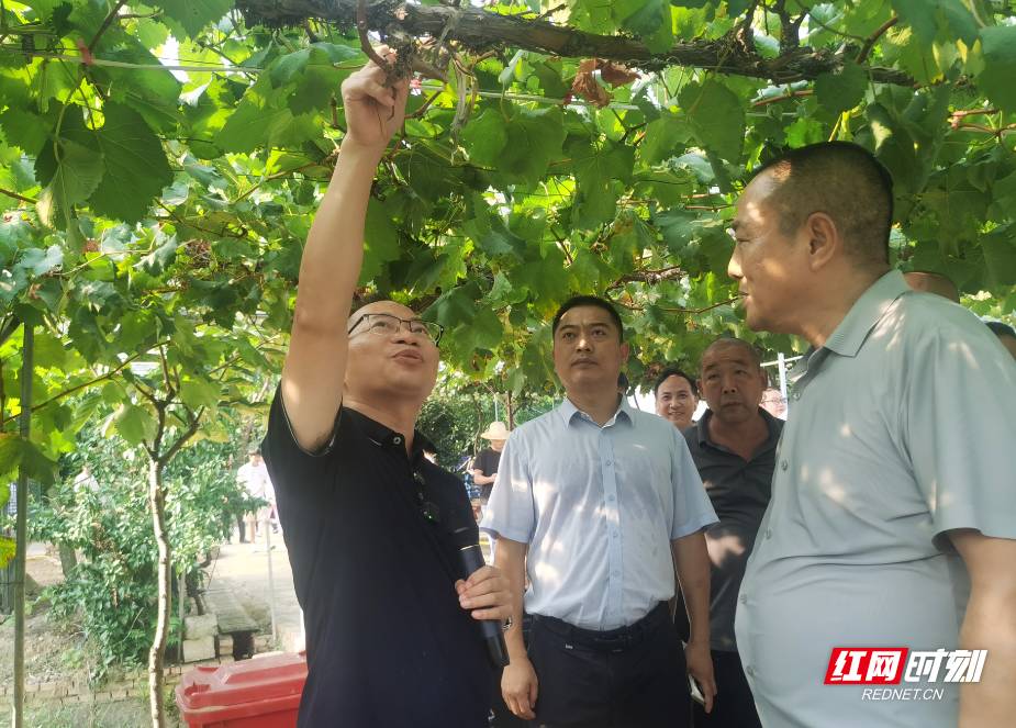微信图片_20260810090444_1_44.jpg 微信图片_20260810090444_1_44.jpg