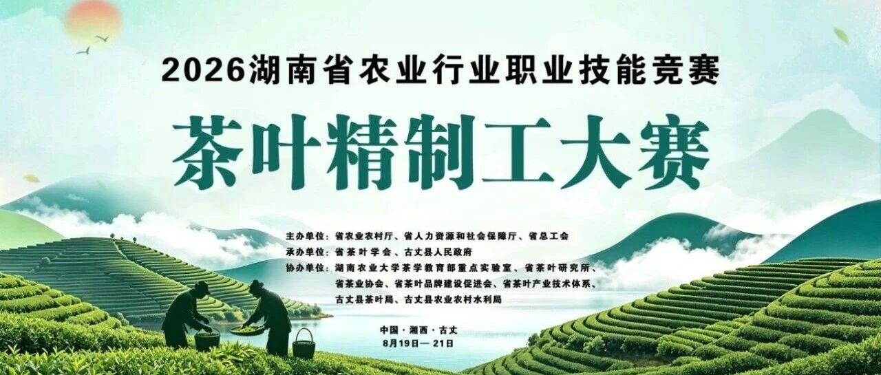 ⼀叶见真章,古丈论茶技!2026年湖南省农业行业职业技能竞赛茶叶精制工大赛即将火热开赛