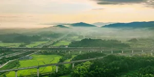 秋染鹤城黄金坳，田园诗意与交通脉动同框