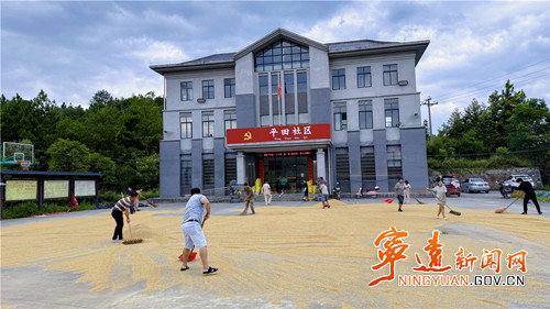 宁远县清水桥镇:便民晒谷场托起乡村丰收暖心图景_副本_副本500.jpg 宁远县清水桥镇:便民晒谷场托起乡村丰收暖心图景_副本_副本500.jpg