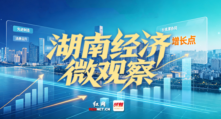 湖南经济微观察