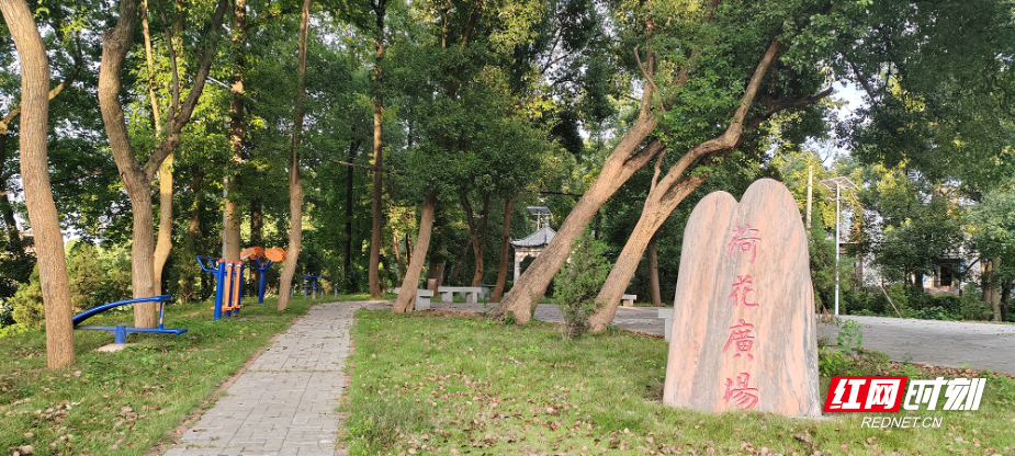 图片0101.png 图片0101.png