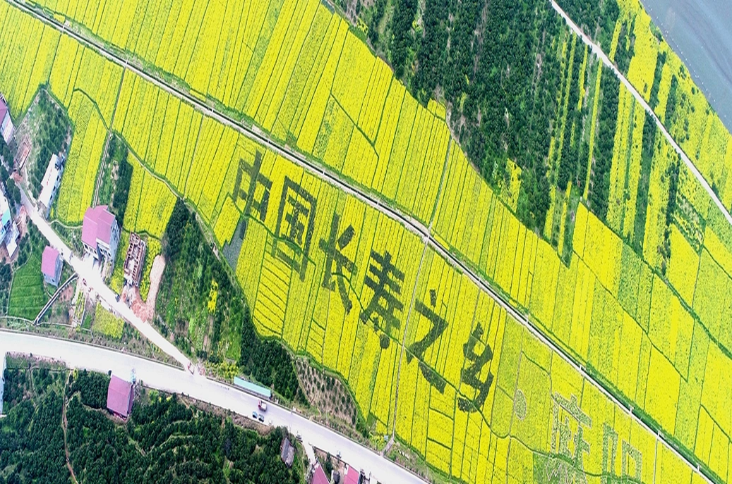 福地怀化 自在清凉丨果园深处，林海之间，住进藏在“长寿之乡”的天然氧吧