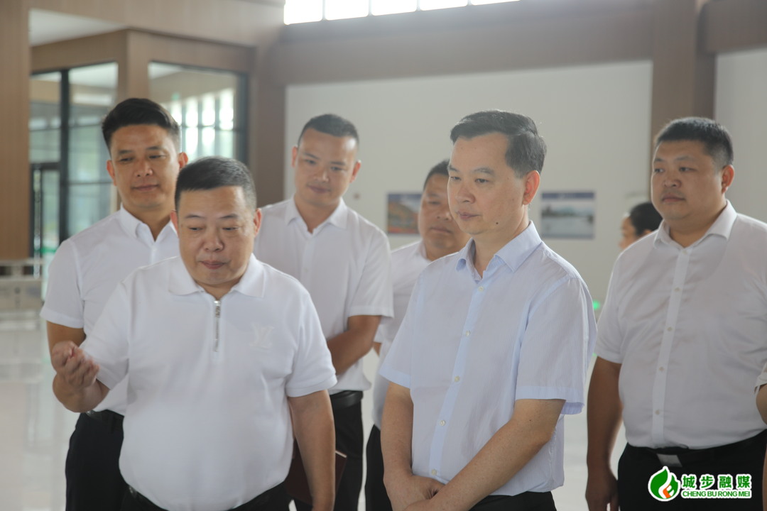 何德波带队调研督导县庆项目工作(图3)