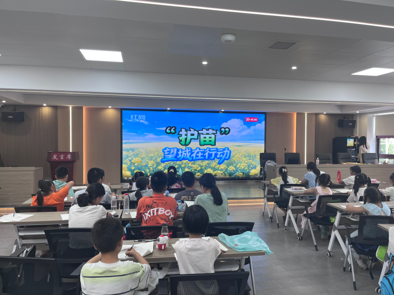 孩子们观看护苗主题宣传短片。均为通讯员 魏文娟 摄 孩子们观看护苗主题宣传短片。均为通讯员 魏文娟 摄