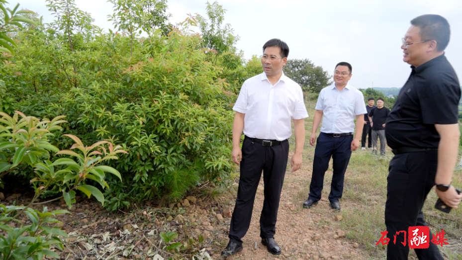 李长春督导河(湖)长制、林长制工作2.png 李长春督导河(湖)长制、林长制工作2.png