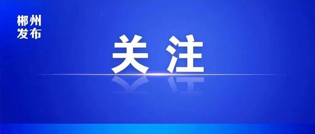 从“特”到“强”,郴州是这样走的
