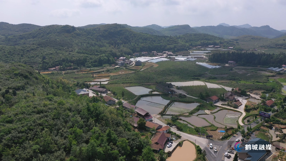 黄岩生态旅游区：留住夏日清风 尽享山野清凉.mp4_20260819_170011.266.jpg