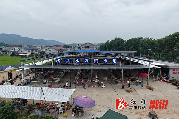 3164.jpg 3164.jpg