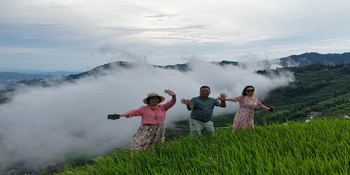 酷暑觅清凉！溆浦山背花瑶梯田23℃云海秘境引客来