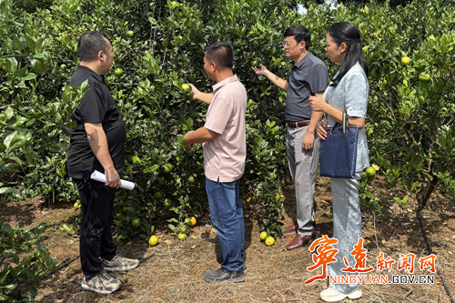 宁远县农业农村局:助推省级龙头企业申报认定工作_副本_副本500.jpg 宁远县农业农村局:助推省级龙头企业申报认定工作_副本_副本500.jpg
