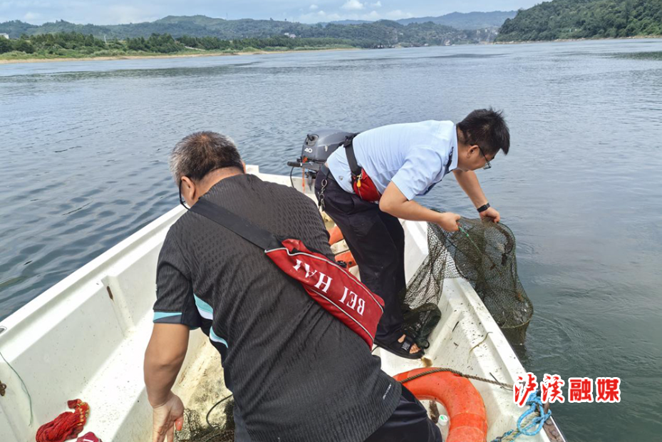 浦市非法蒲牢打击.jpg2.jpg
