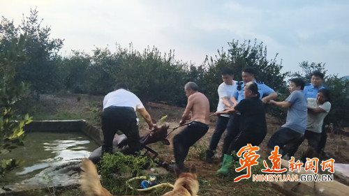 宁远民警联民合力救援被困小牛_副本500.jpg 宁远民警联民合力救援被困小牛_副本500.jpg