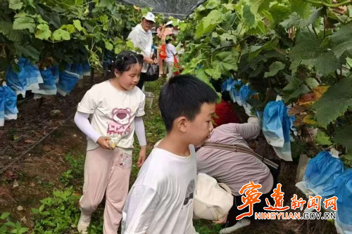 宁远:公益助农 爱心认购情暖患病农户_副本500.jpg 宁远:公益助农 爱心认购情暖患病农户_副本500.jpg