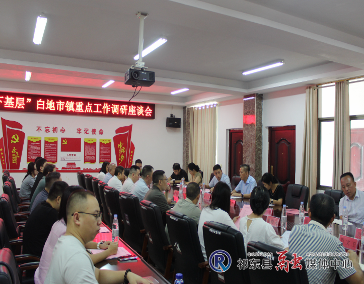 3陈小云在白地市镇主持召开工作调研座谈会.jpg 3陈小云在白地市镇主持召开工作调研座谈会.jpg