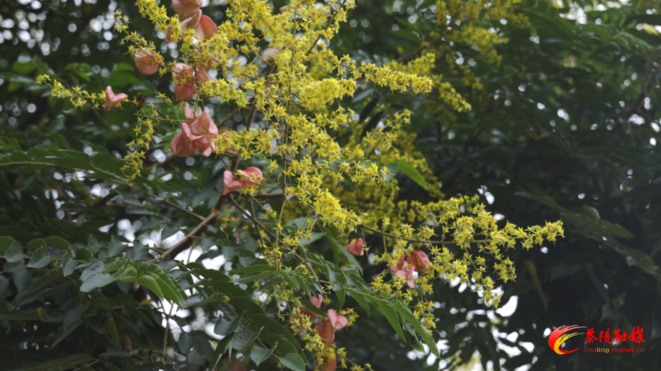 Still1201_00001.jpg