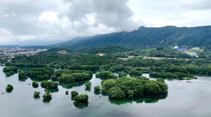 双牌：日月湖湿地公园迎来千只候鸟先遣队