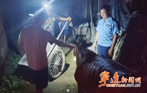 宁远公安:无人机+热成像 丢失的牛找到了_副本500.jpg 宁远公安:无人机+热成像 丢失的牛找到了_副本500.jpg