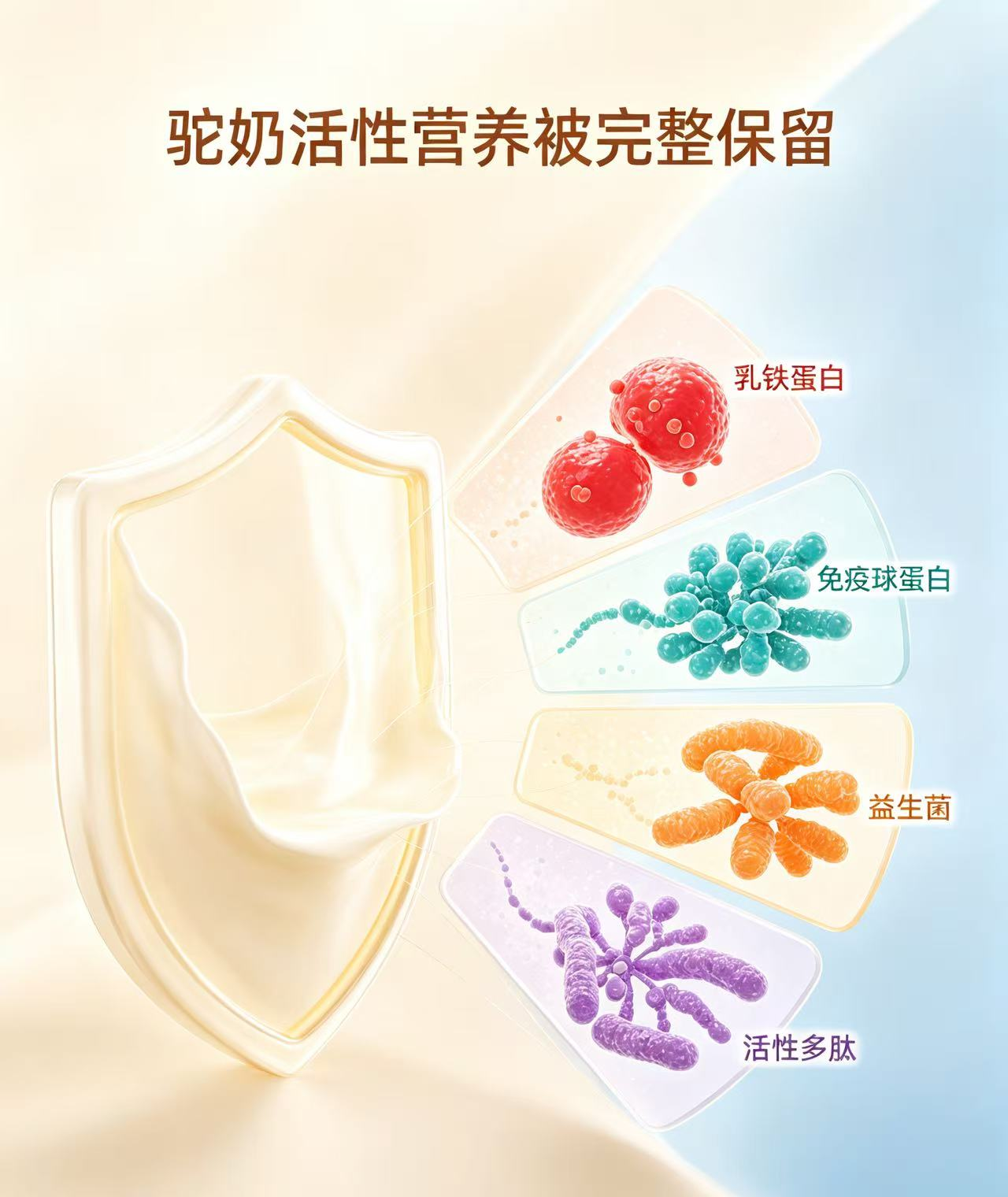 1788147450776016.png 图片4.png