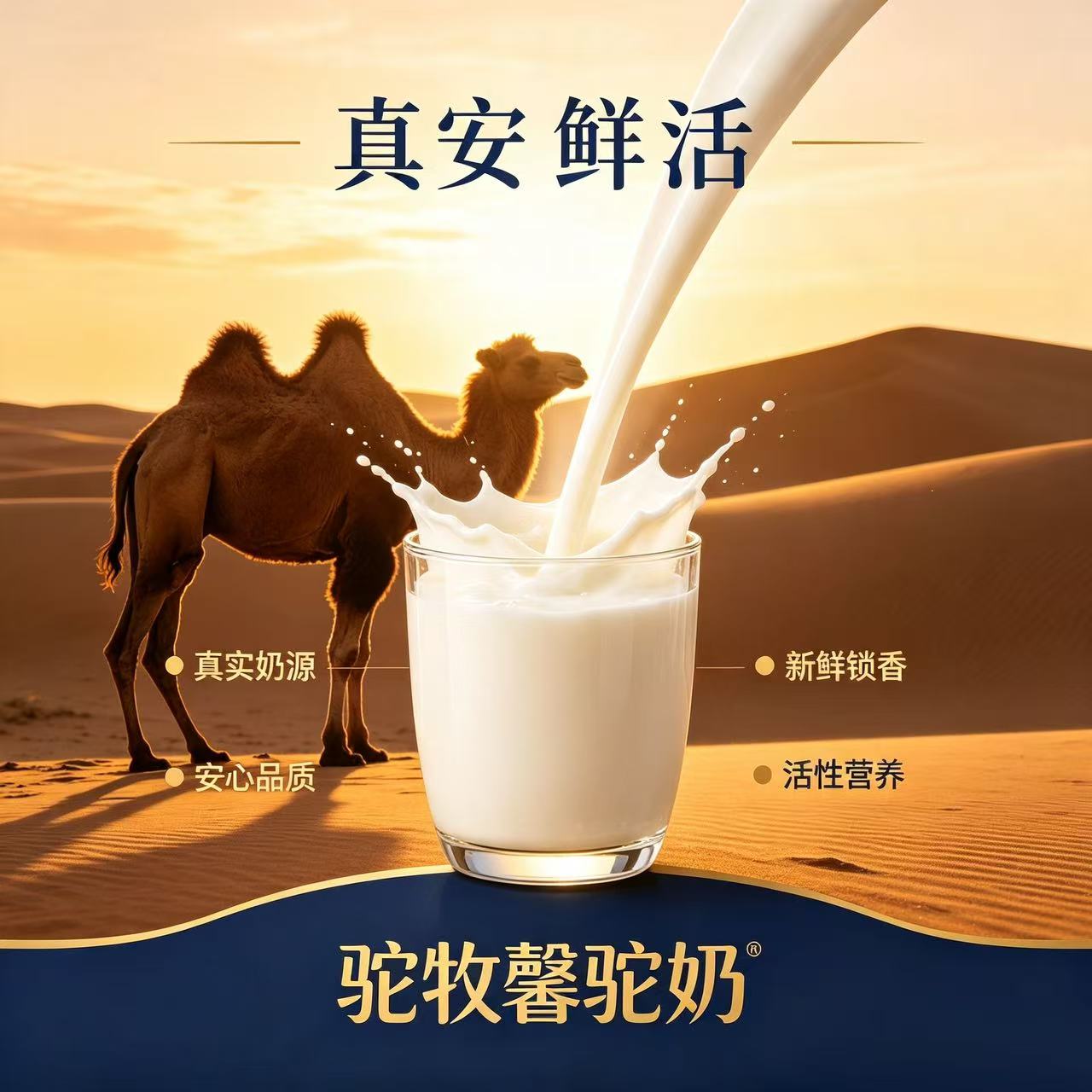 1788147545201903.jpg 微信图片_20260805193113_348_9.jpg