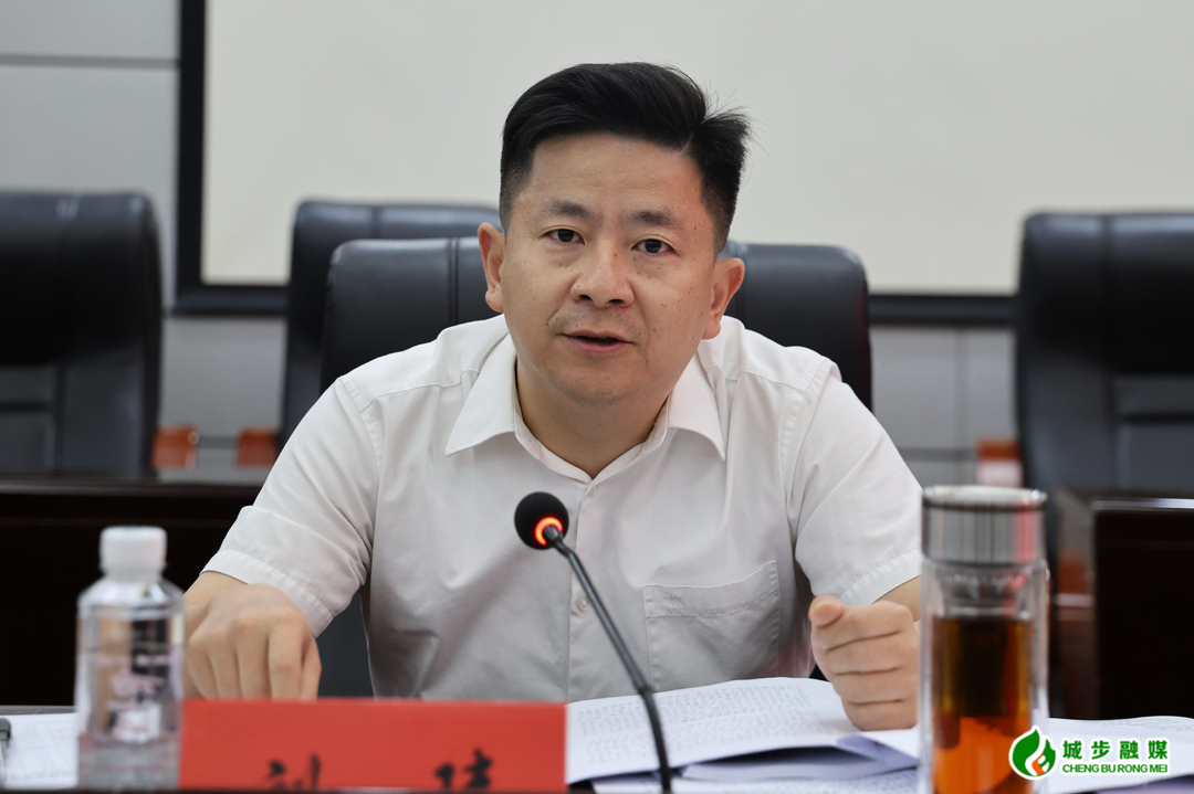 城步召开城步高质量发展综合绩效评价暨经济运行工作调度会(图2)