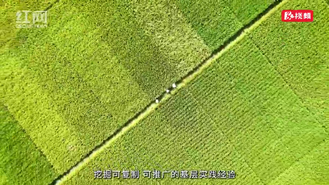 @湖南“新农人”：你的数字乡村奋斗故事，值得被全省听见