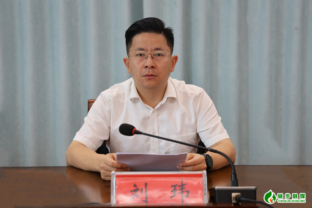 城步召开县委党建工作领导小组2026年第二次会议(图2)