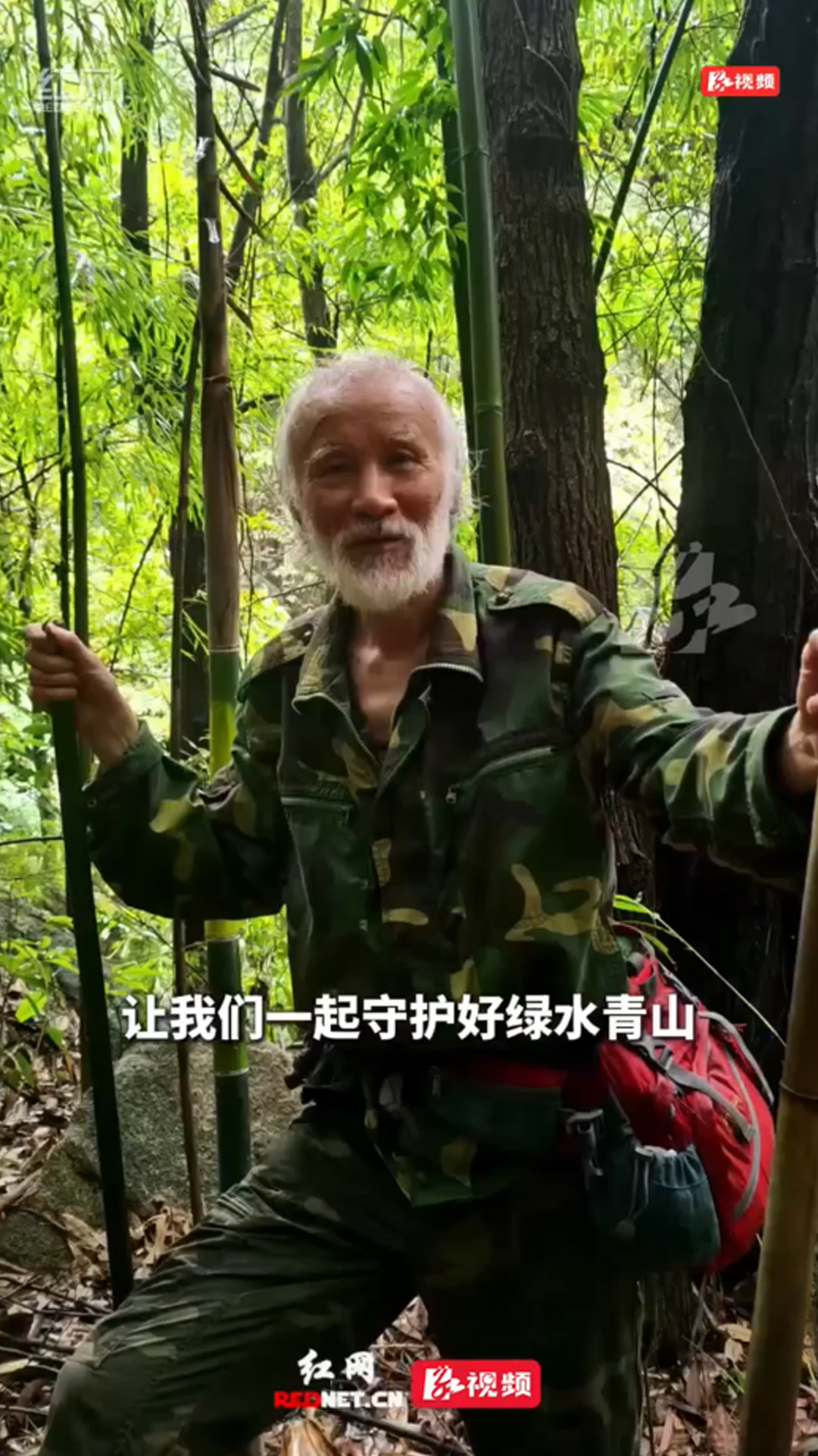 标本被毁 惜护生灵