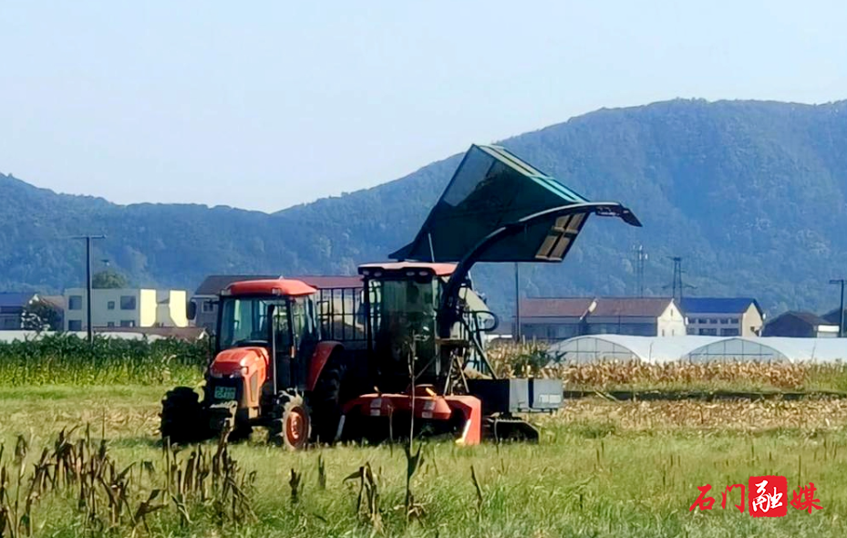 抓实秸秆综合利用 筑牢生态安全防线2.jpg 抓实秸秆综合利用 筑牢生态安全防线2.jpg