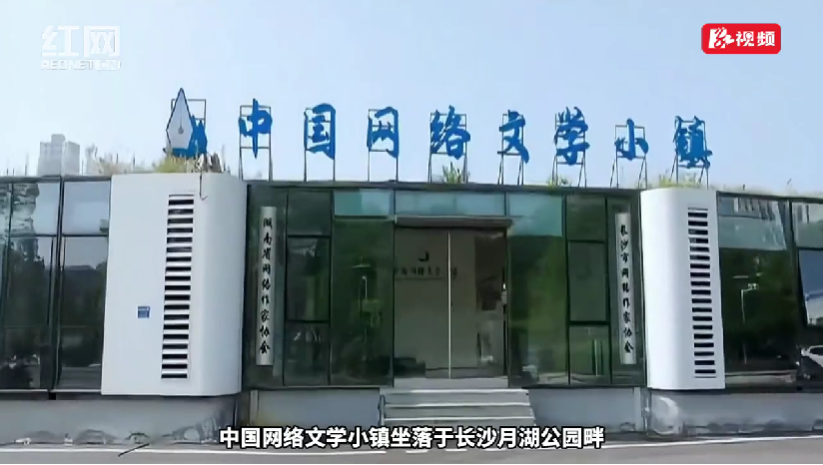 繁荣新大众文艺 月湖畔的这座小镇“码”力全开