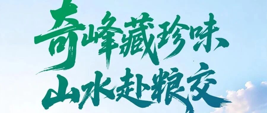 山水入馆，好味出山——第八届粮交会张家界馆亮点抢先看