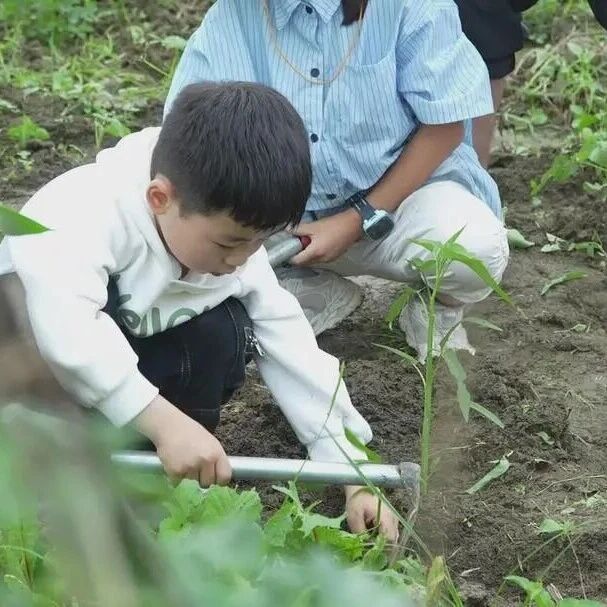 古丈县茶旅融合研学夏令营圆满收官