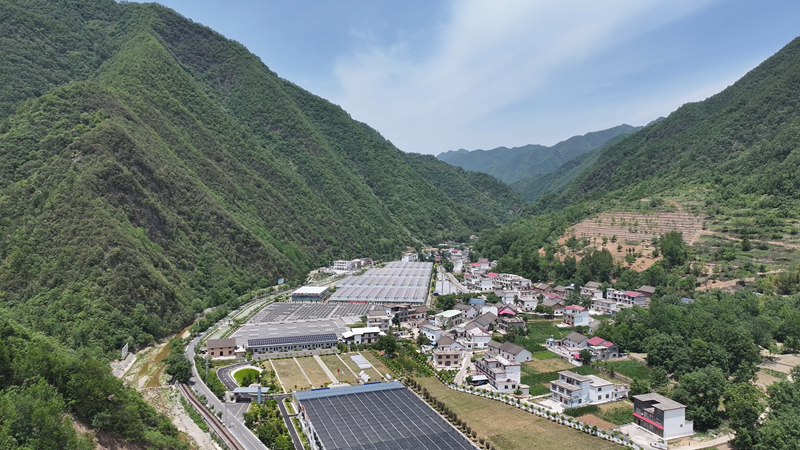 开局之年看中国丨木耳出山,“金米”满川