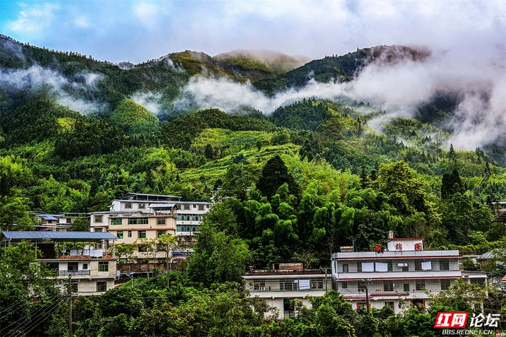 桂东大洞村，藏着最惬意的康养时光
