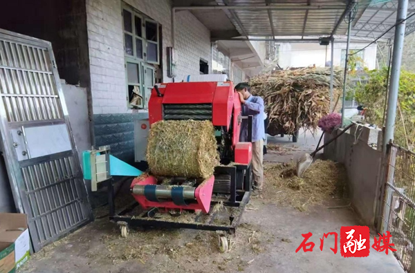 图片2.jpg 图片2.jpg