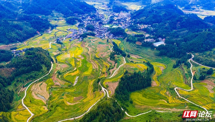 俯瞰中方金秋：梯田织锦绣，晒场绘丰收