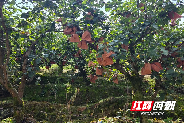微信图片_20260910111624_300_136.jpg 微信图片_20260910111624_300_136.jpg