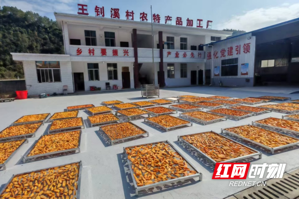 图片2_副本.png 图片2_副本.png