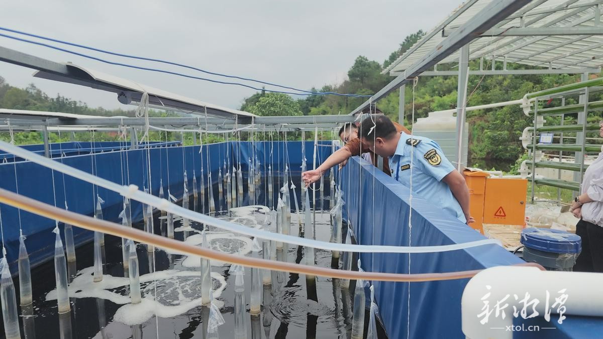 省第一生态环境保护督察组现场核查湘乡市养殖企业污染问题。2.png 省第一生态环境保护督察组现场核查湘乡市养殖企业污染问题。2.png