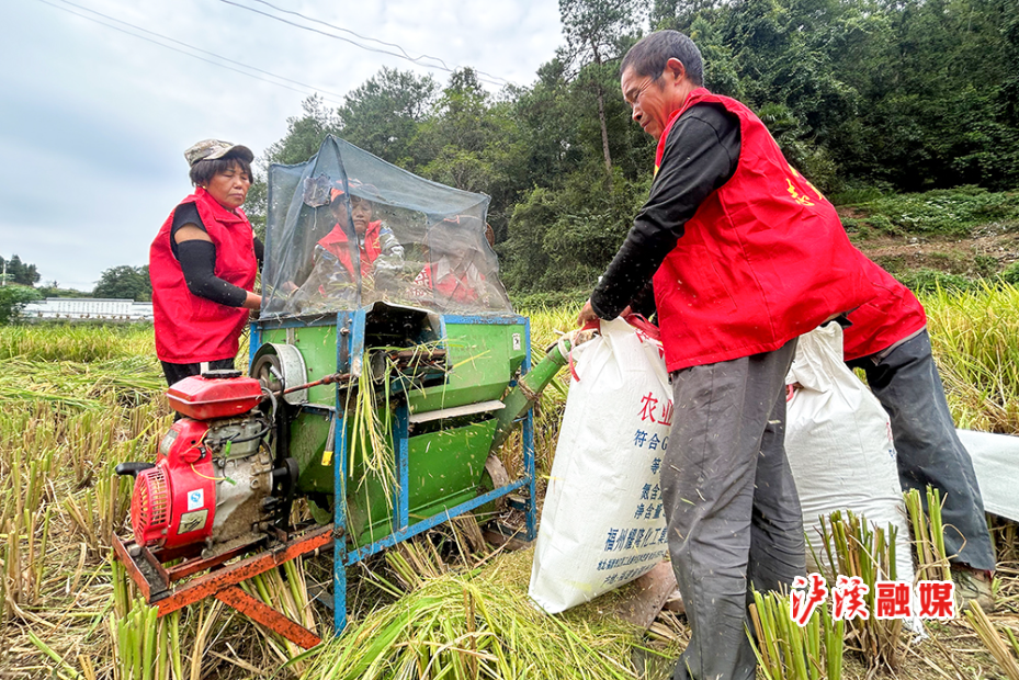 潭溪镇帮助农户抢收稻谷.jpg 潭溪镇帮助农户抢收稻谷.jpg