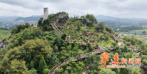【美景不远·就在宁远】宁远:花木巧配置 居民乐享“花园生活”_副本500.png 【美景不远·就在宁远】宁远:花木巧配置 居民乐享“花园生活”_副本500.png