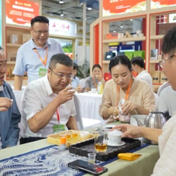 新化组团参展2026 第十八届湖南茶业博览会
