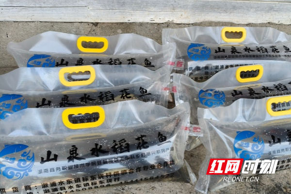 20a57444686ea1438ed1ff84dab6d193_副本.jpg