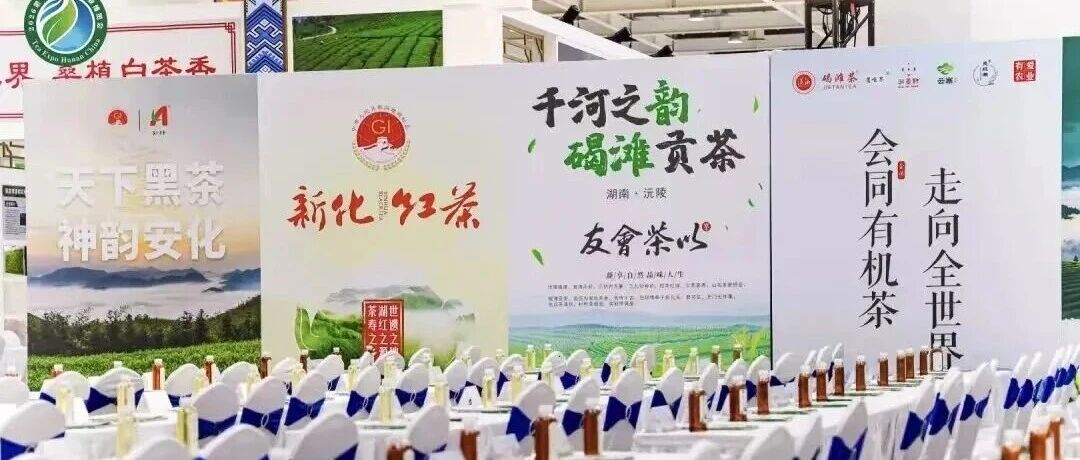从茶马古道到随手即饮,安化黑茶借“湘叶”焕新出圈