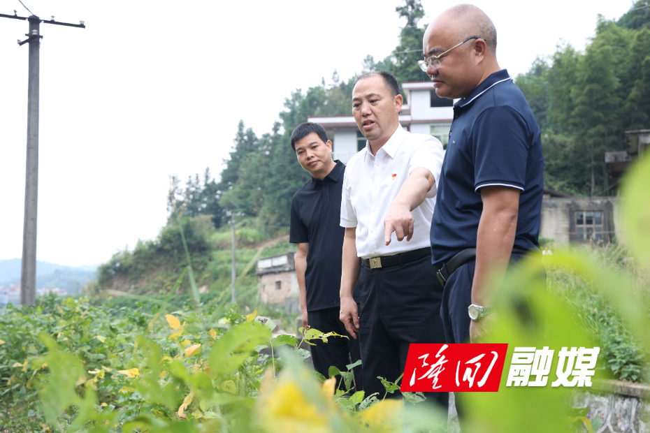 微信图片_20260917151845_177_2.jpg 微信图片_20260917151845_177_2.jpg