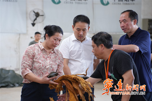 林亮亮调研烟叶产业发展工作_副本500.jpg