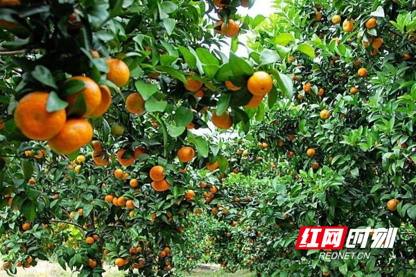 微信图片_20260920162801_882_80_副本.jpg 微信图片_20260920162801_882_80_副本.jpg