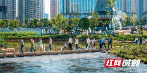 从“看得见”到“管得好”，雨花靠什么？