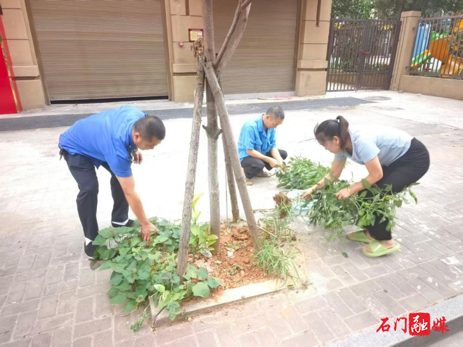 城管1.png 城管1.png